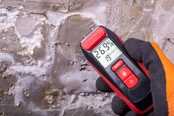 Best Mold Testing and Inspection Services in Gowanda, NY