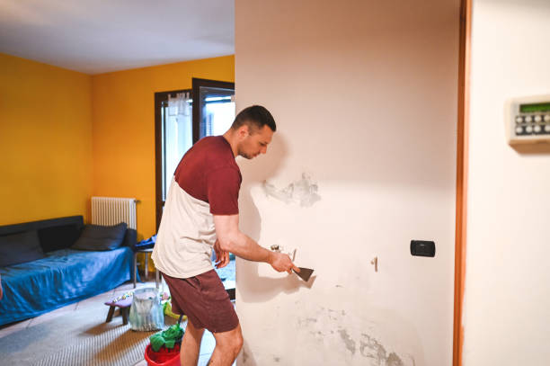 Best Attic Mold Remediation in Gowanda, NY